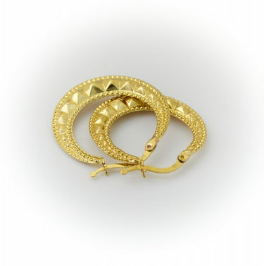 Hoop Women's Earrings 1